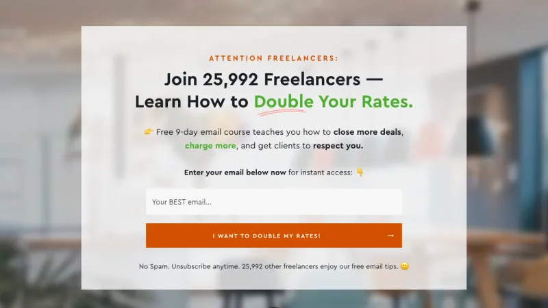 Double Your Freelancing - Success Stories Page
